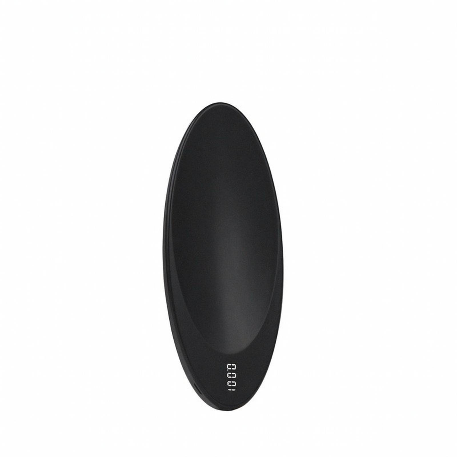 Portion Scale Digital - Electronic Tea Scale with Digital Screen