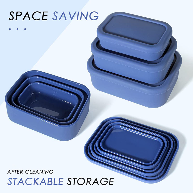 Meal Prep Day - Leak-Resistant Bento Lunch Box Reusable BPA-Free