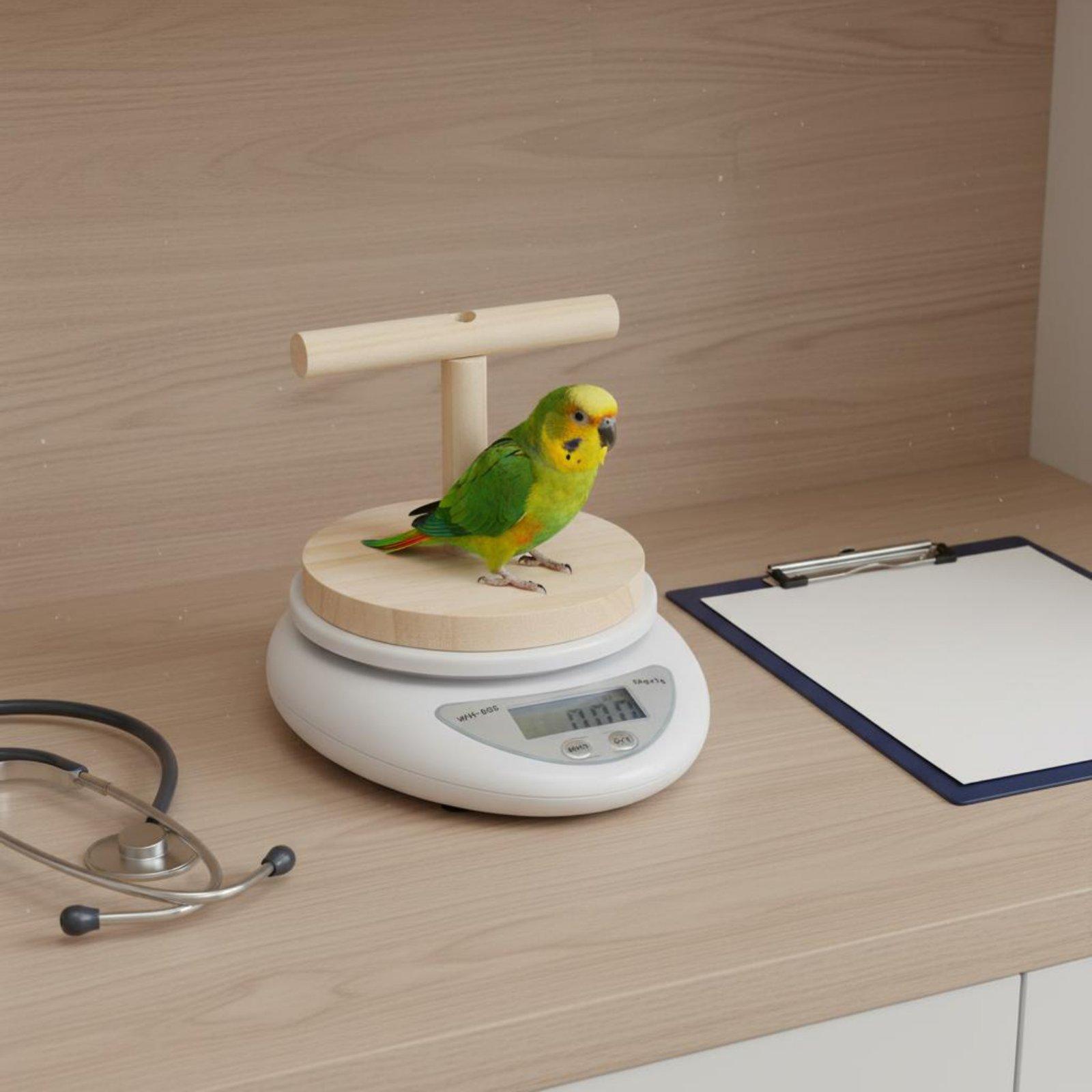 Digital Pet Bird Scale with De - огляд і ціна Portion Scale Digital